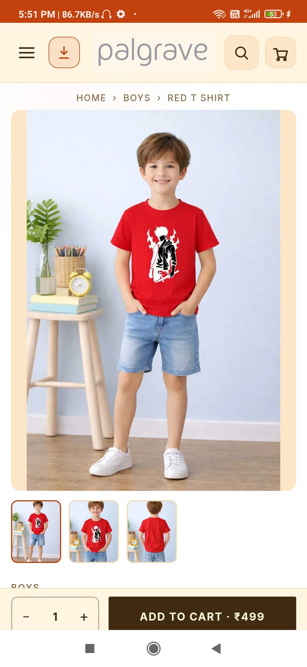 Boys Western